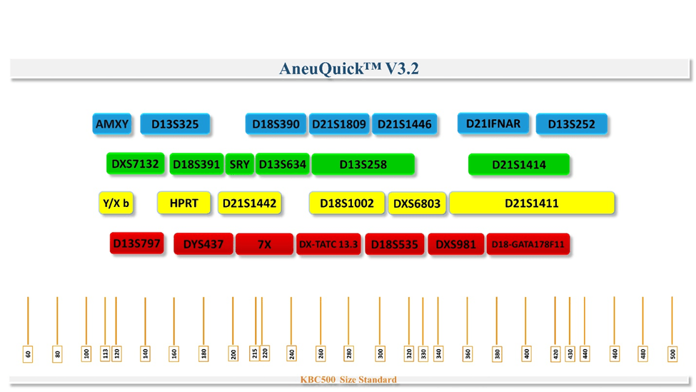 مارکر های AneuQuick Kit v3.2 کیت تشخیص اختلالات کروموزمی ۲۶ مارکری