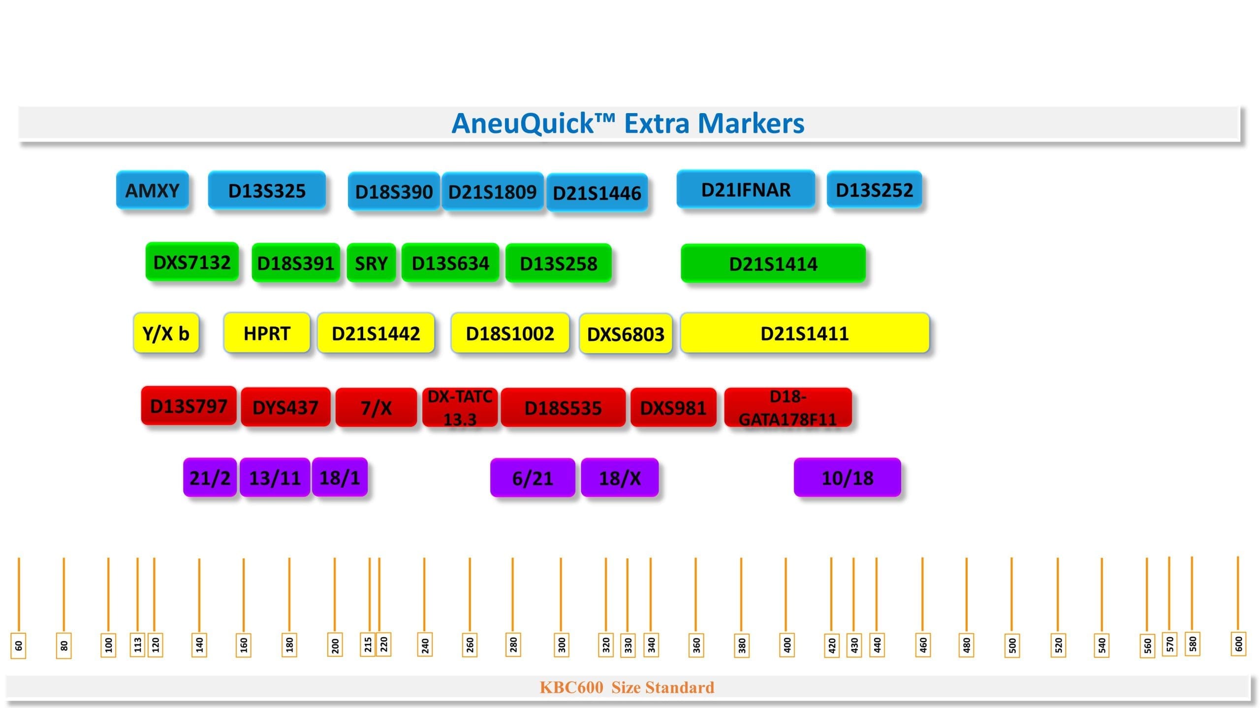 مارکر های AneuQuick Extra Kit v1.2 کیت تشخیصی اختلالات کروموزمی با 32 مارکری