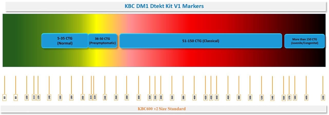 مارکر کیت تشخیص بیماری دیستروفی عضلانی نوع یک-DM1 DTekt Kit v1