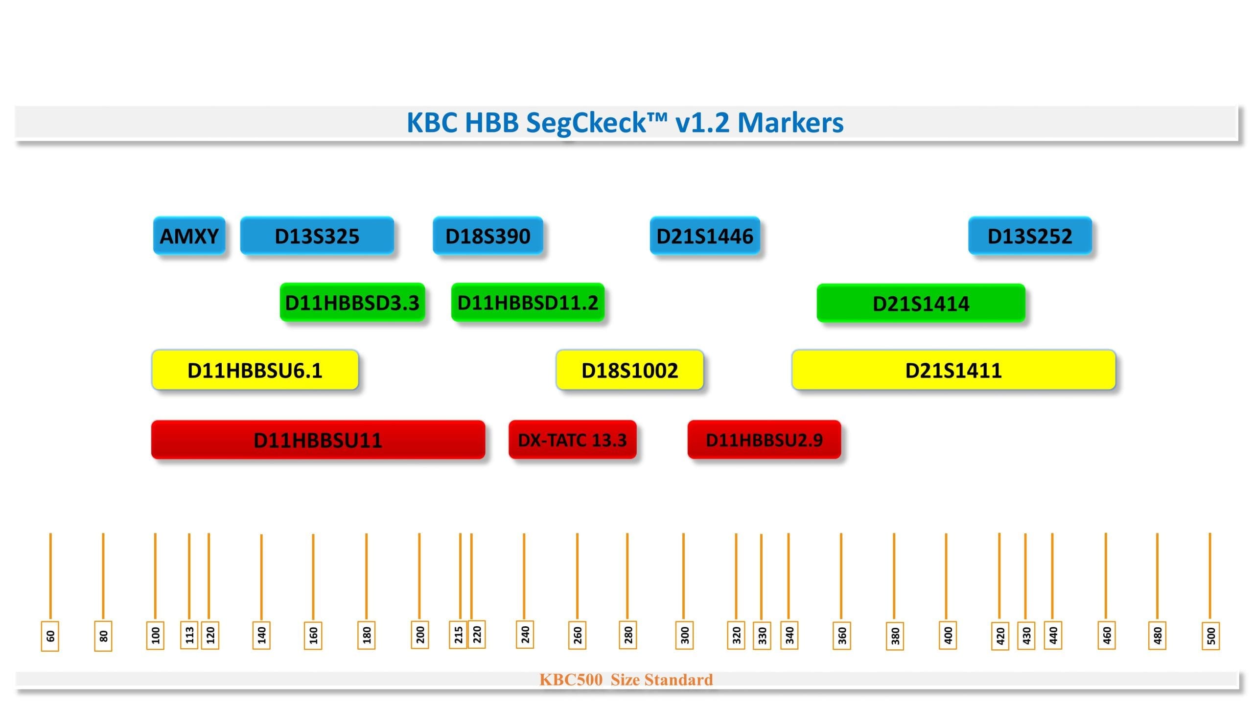 مارکر های HBB Segcheck™ v1.2 کیت تشخیص تالاسمی بتا