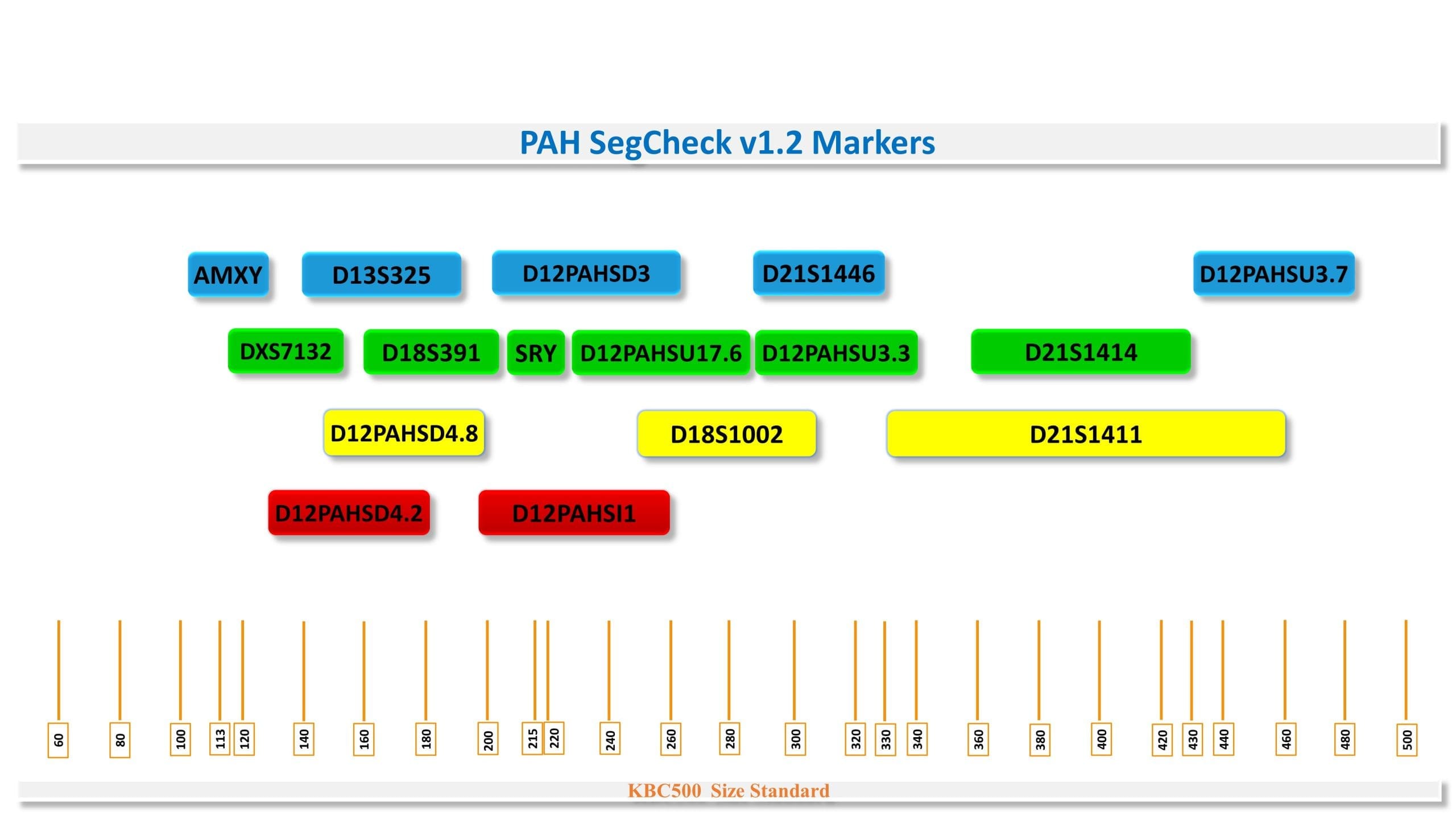 D12PAHSU3.3, D12PAHSU3.7, D12PAHS17.6, D12PAHI1, D12PAHSD3, D12PAHSD4.2, D12PAHSD4.8, D21S1446, D21S1414, D21S1411, D18S391, D18S1002, D13S325, DXS7132, AMXY و SRY.