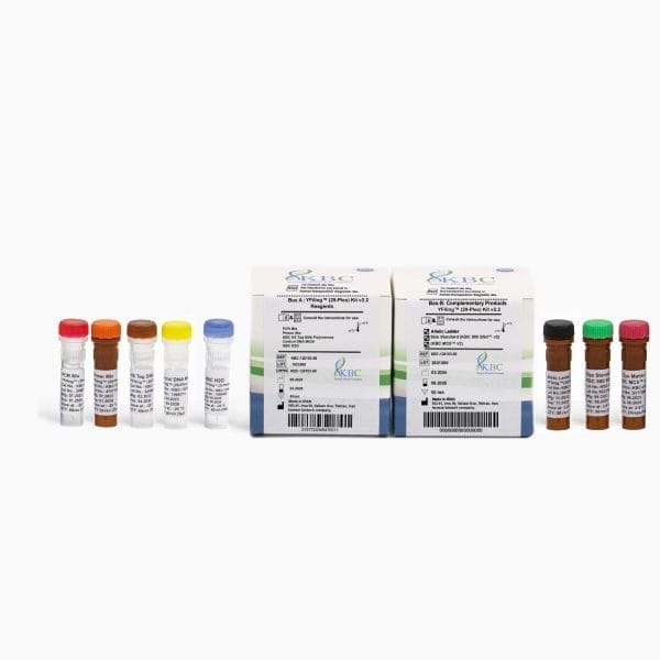 YFiling (29-Plex) Kit v2.2 کیت تعیین هویت بر اساس کروموزوم Y برای بررسی نسبت خویشاوندی در نمونه های مذکر بر اساس روش Y-STR