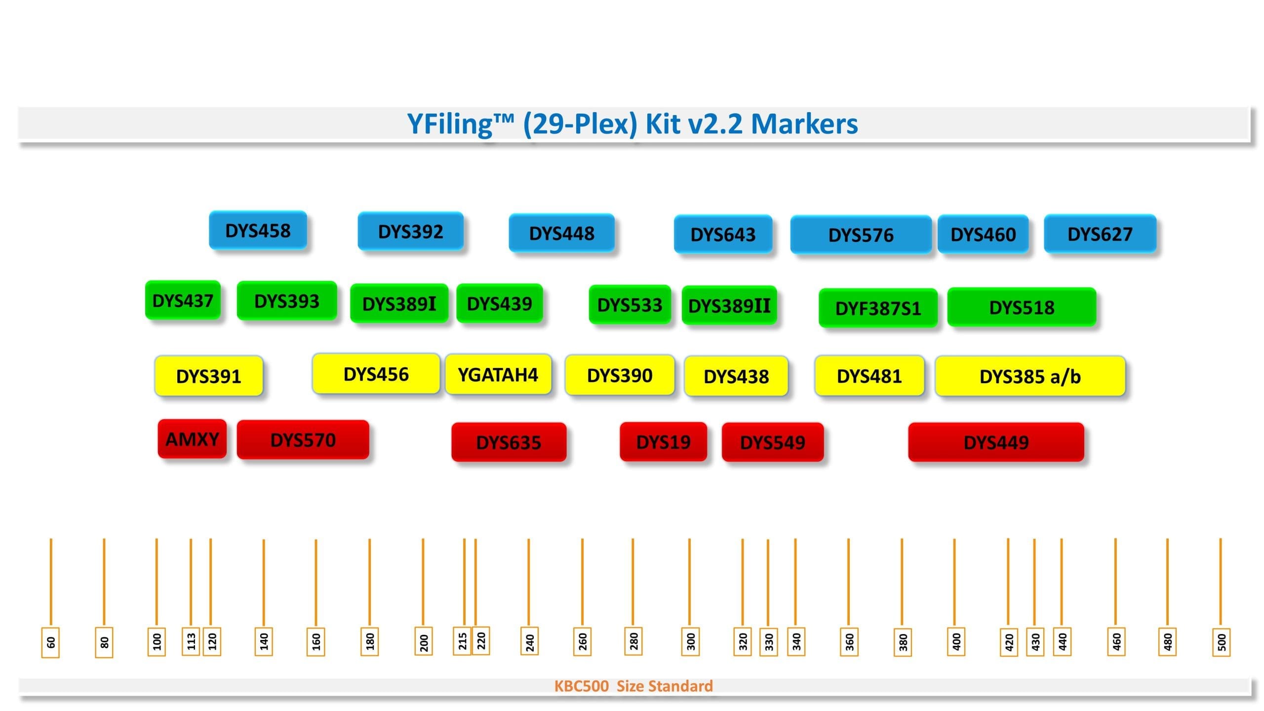 مارکرهای YFiling (29-Plex) Kit v2.2 کیت تعیین هویت بر اساس کروموزوم Y