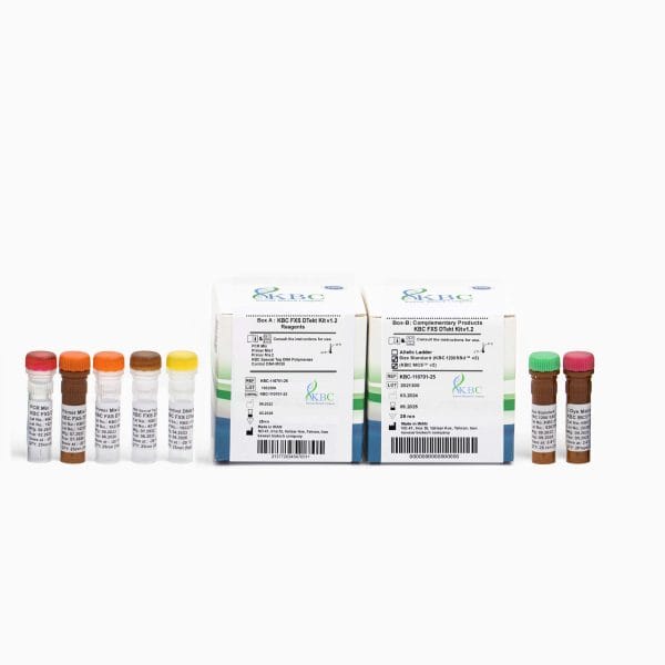 FXS DTekt™ v1.2  کیت تشخیص سندروم ایکس شکننده که تعداد تکرار های ۳تایی CGG در ژن FMR1 را توسط واکنش PCR تشخیص میدهد
