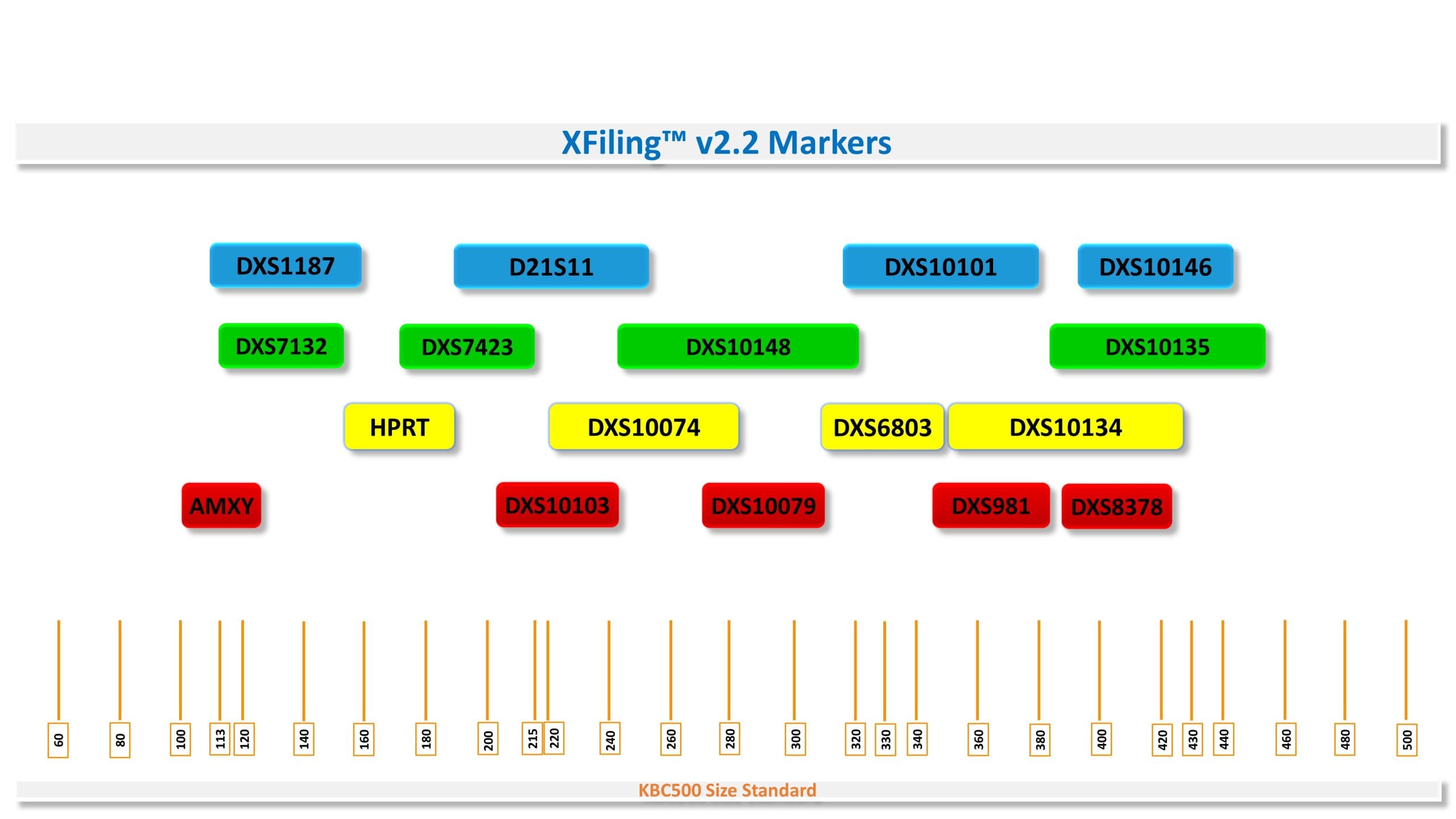مارکرهای کیت XFiling Kit v2.2