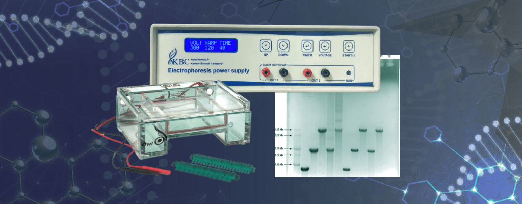 روش ساخت ژل الکتروفورز و بررسی محصول PCR