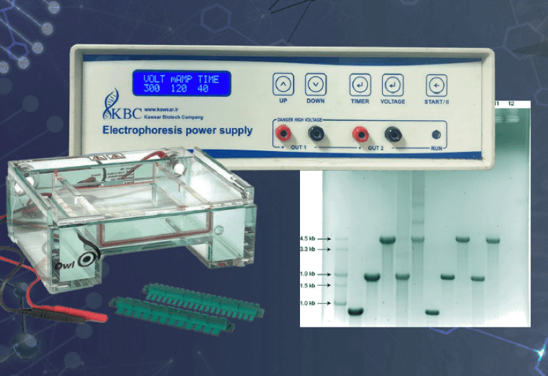 روش ساخت ژل الکتروفورز و بررسی محصول PCR